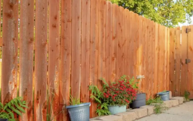 Cedar privacy fence along a backyard patio